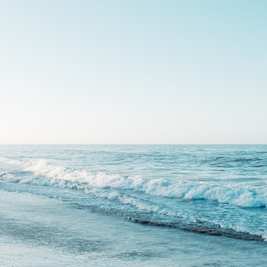 コンデジが来ました。