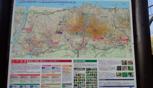 国上山から弥彦山縦走　2023.04.01