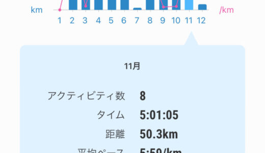 月間走行距離-2023年11月-