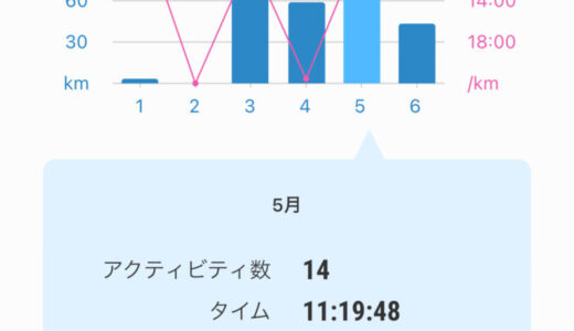 月間走行距離 2024年5月