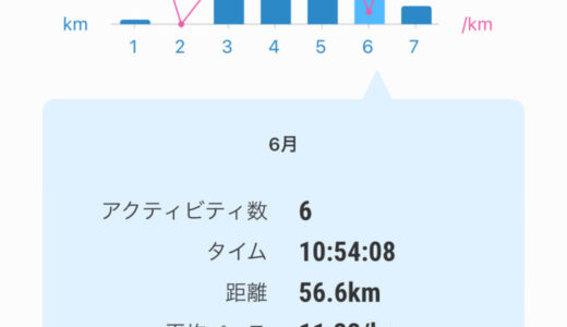 月間走行距離　2024年6月