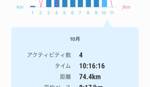 月間走行距離 2024年10月