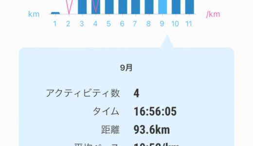 月間走行距離 2024年9月