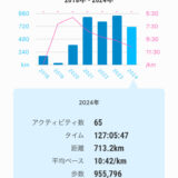 年間走行距離 2024年