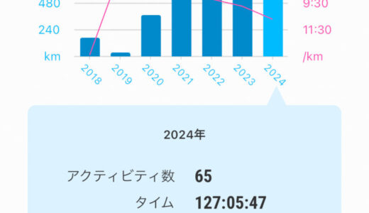 年間走行距離 2024年