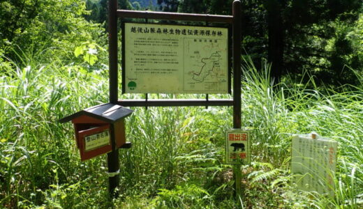 広谷川 沢下り -2025.08.03-